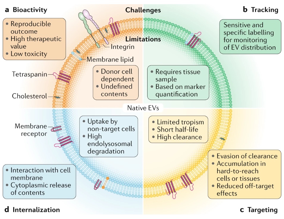 Latest on Extracellular for Cardiovascular Therapeutics in Nature – EU-CardioRNA